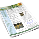 newsletter-e-cover Perfection Landscape NewsLetter